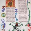Stag Scroll for Lydia of the Pines